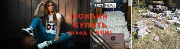прущие грибы Алзамай