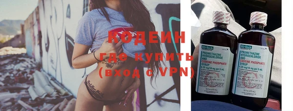 индика Фёдоровский