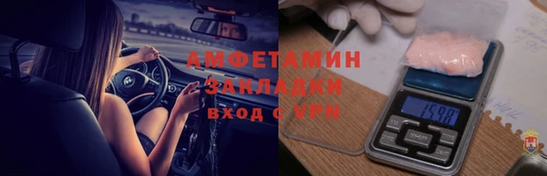 прущие грибы Алзамай
