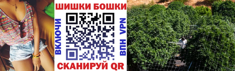 наркота  Невинномысск  Бошки марихуана сатива 